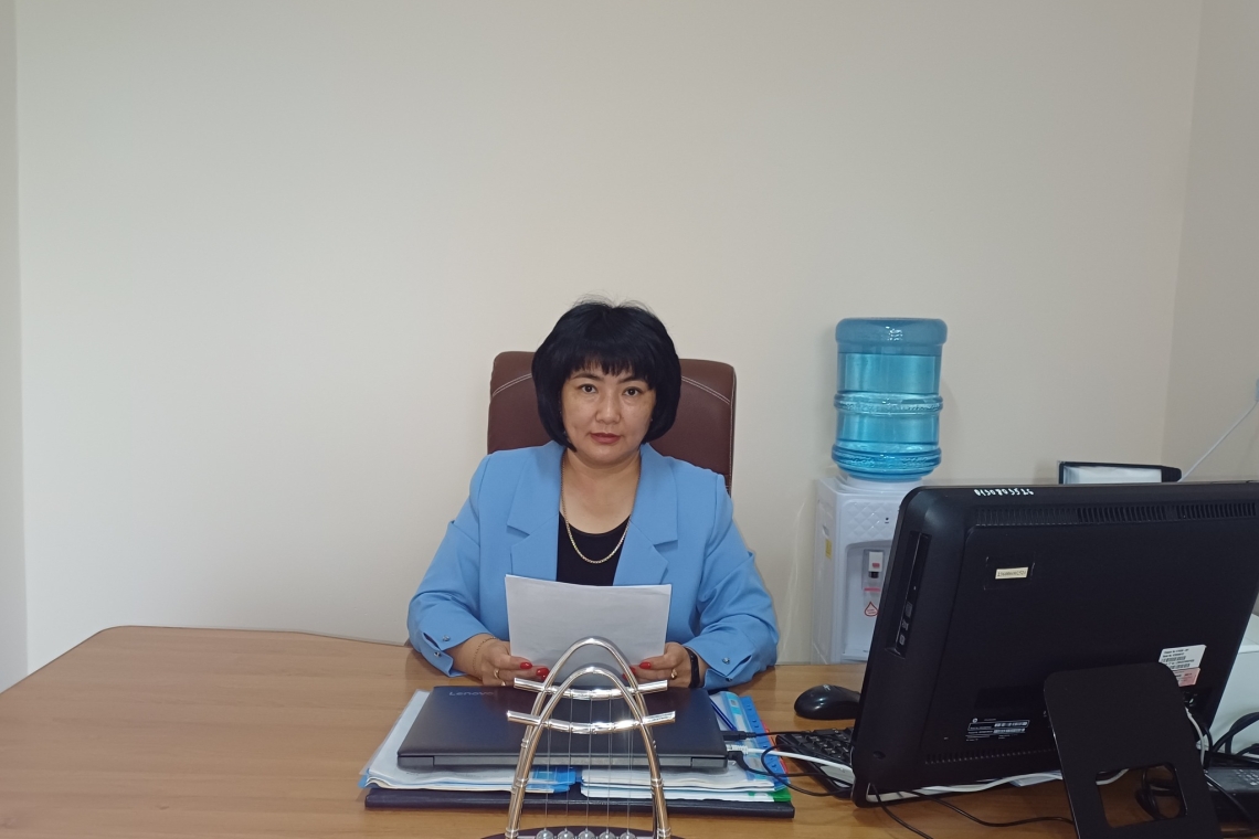 Мемлекеттік қызмет көрсету туралы